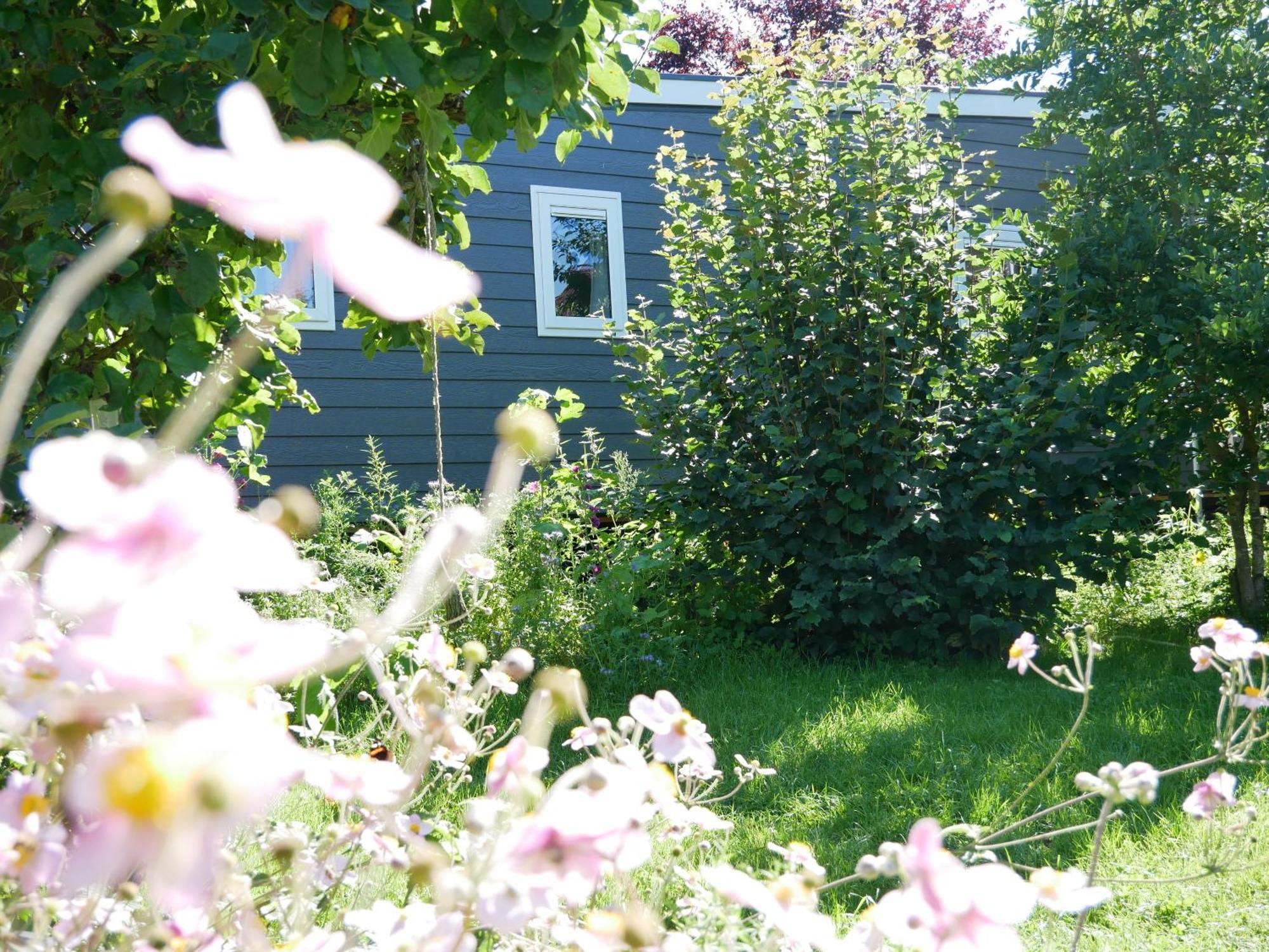 Tiny Ferienhaus Kelze Hofgeismar Bagian luar foto